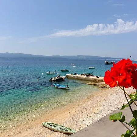 Laguna 1 * بول